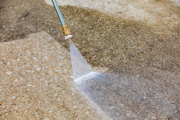 Best Winterizing Services  in Trinity, FL